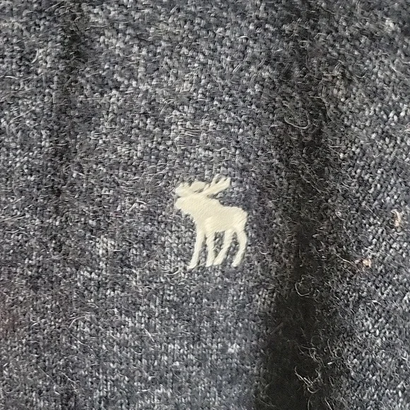 Abercrombie & Fitch Chenille Embroidered Moose Emblem Cardigan - Picture 3 of 9